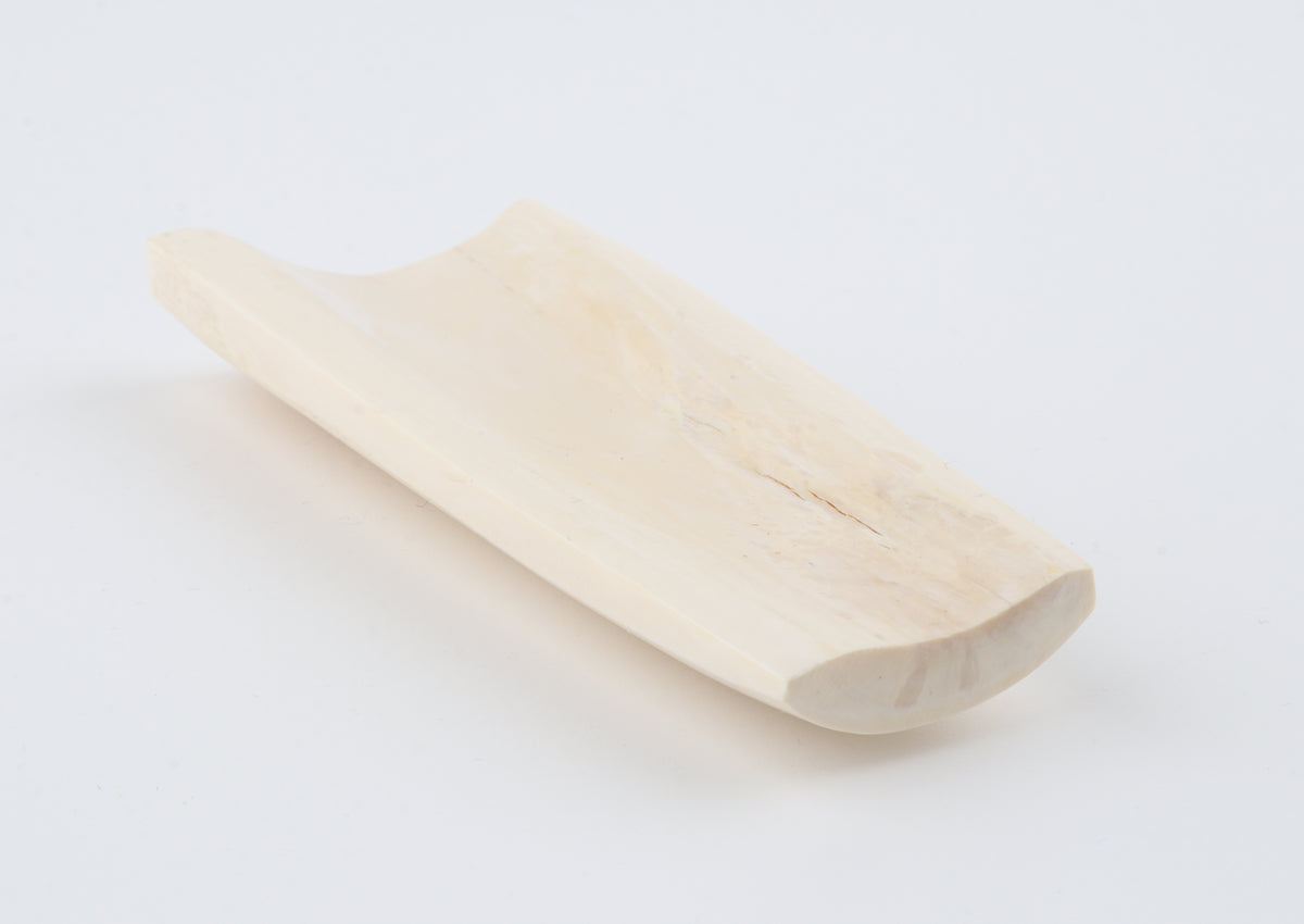 White mammoth ivory segment