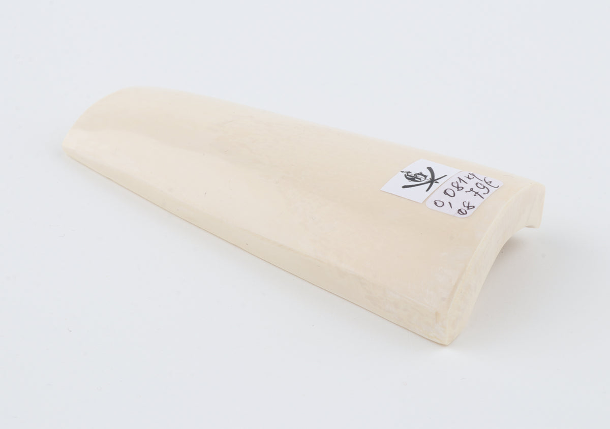 White mammoth ivory segment