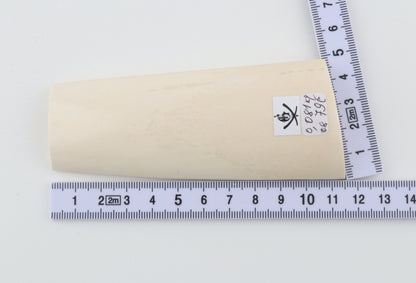 White mammoth ivory segment