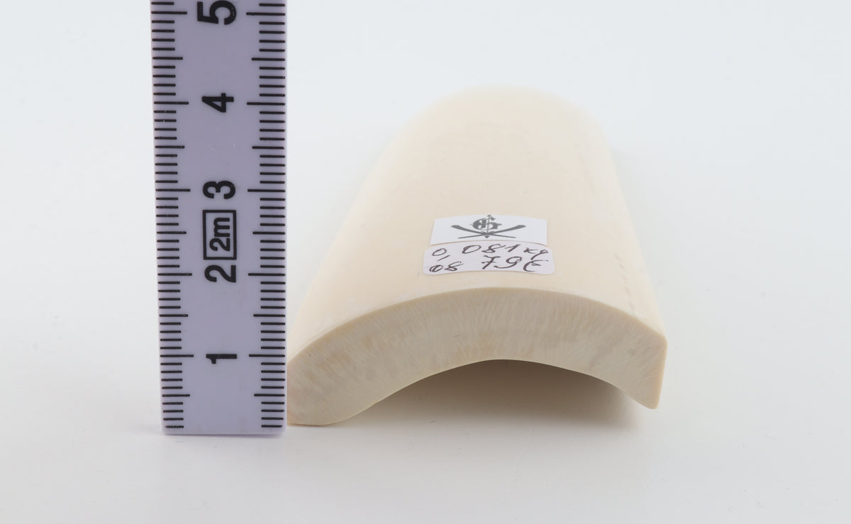 White mammoth ivory segment