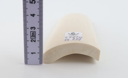 White mammoth ivory segment