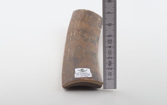 Mustard mammoth bark