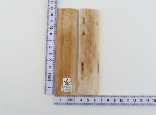 Natural mammoth bark scales