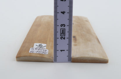 Natural mammoth bark scales