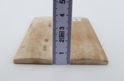Natural mammoth bark scales