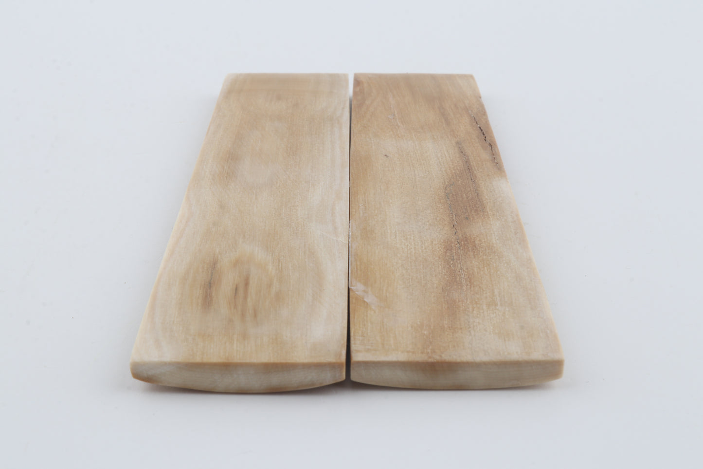 Natural mammoth bark scales