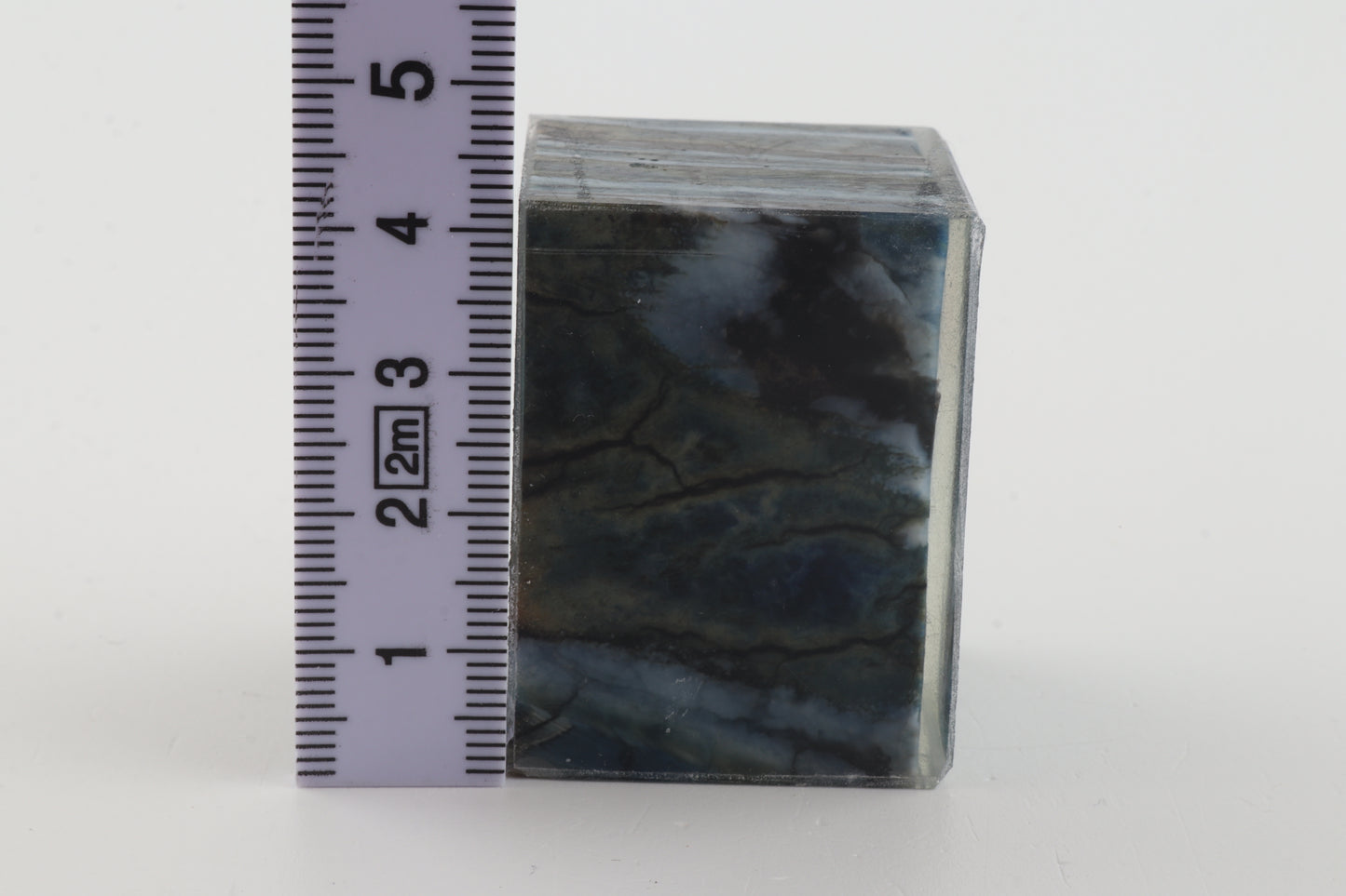 Stabilised mammoth molar piece