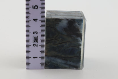 Stabilised mammoth molar piece