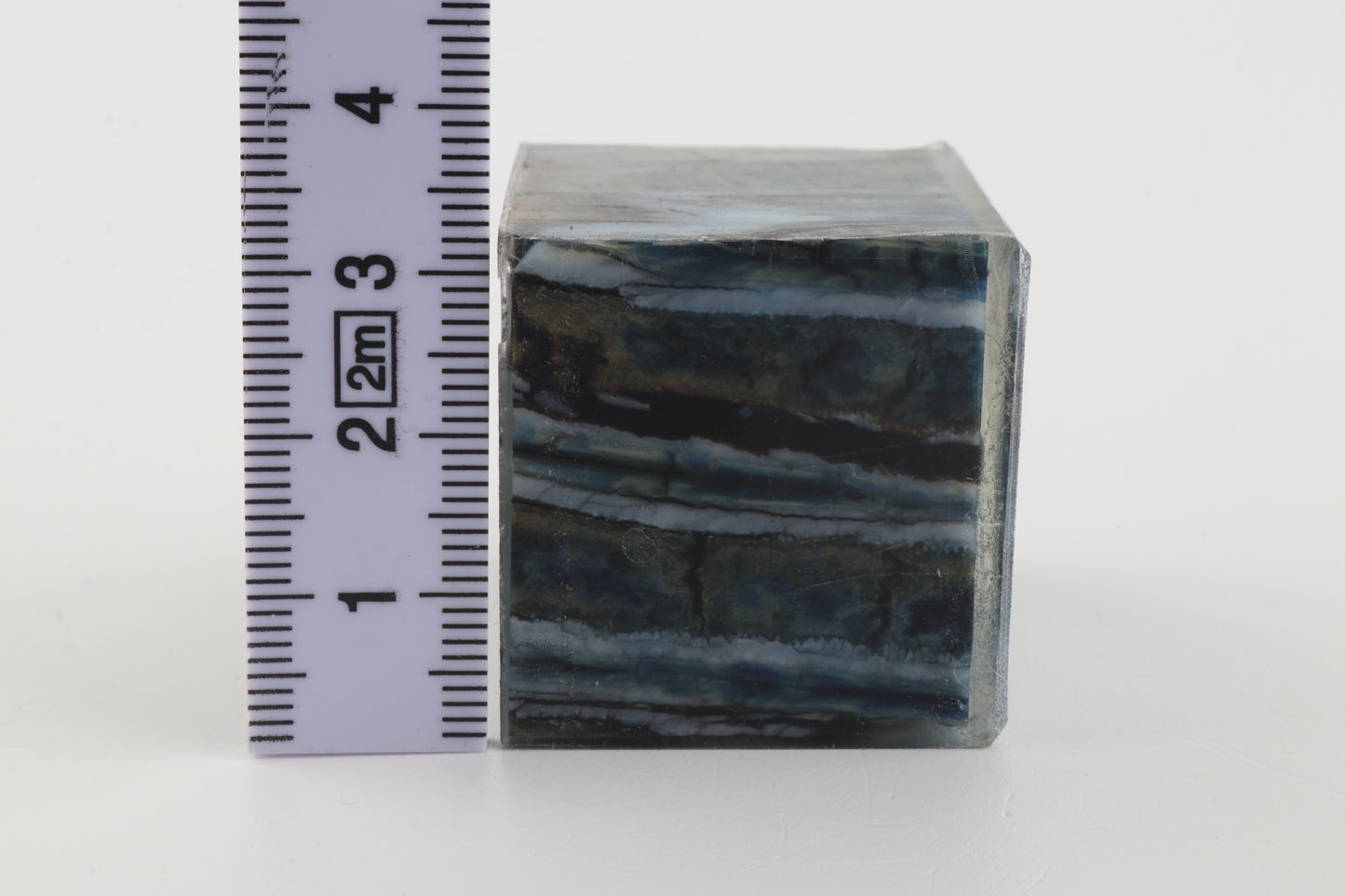 Stabilised mammoth molar piece