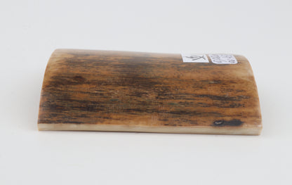 Orange-brown mammoth bark