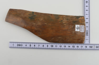 Caramel-blue mammoth bark