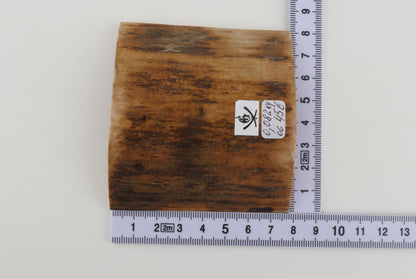 Orange-brown mammoth bark