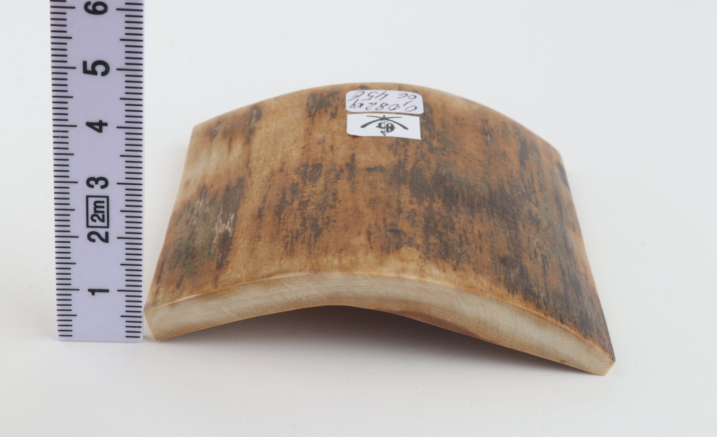 Orange-brown mammoth bark