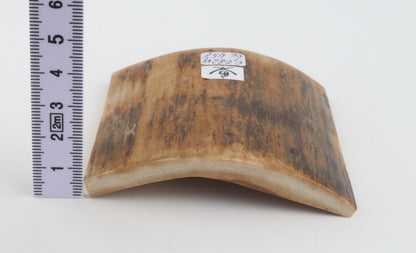 Orange-brown mammoth bark