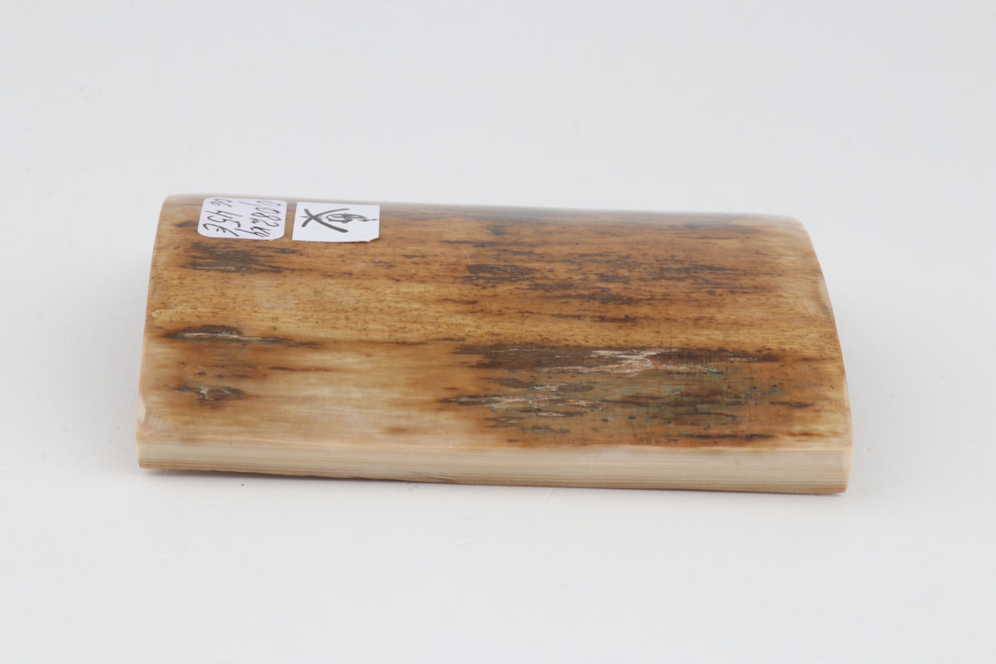 Orange-brown mammoth bark