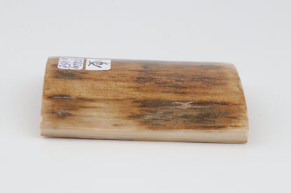 Orange-brown mammoth bark