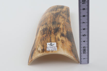 Yellow-black mammoth bark