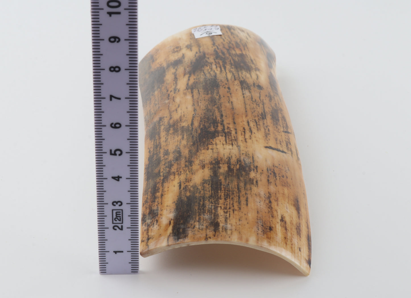 Yellow-black mammoth bark