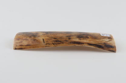 Yellow-black mammoth bark