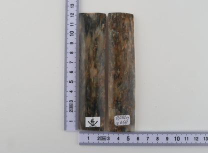 Natural mammoth bark scales