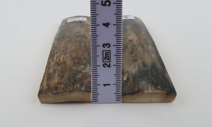 Natural mammoth bark scales