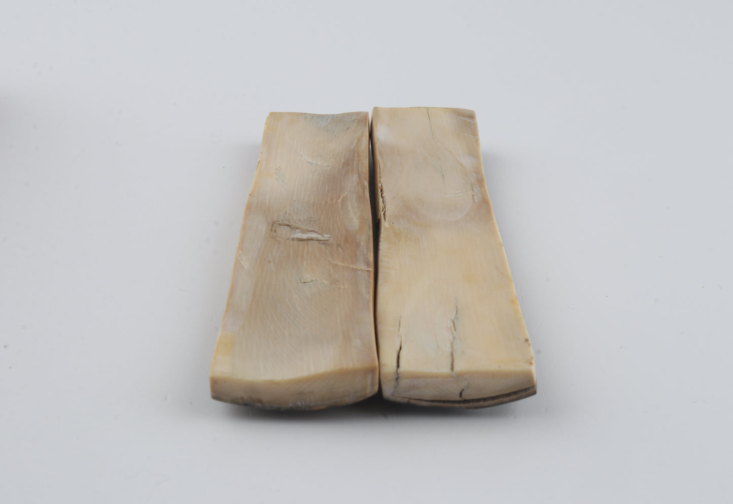 Natural mammoth bark scales