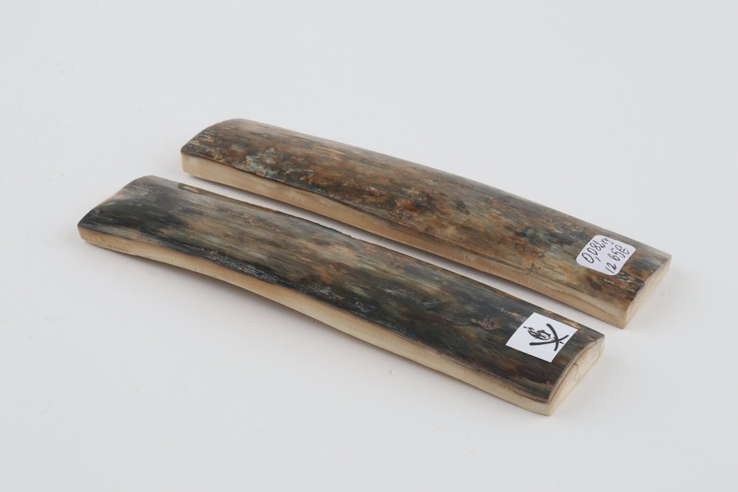 Natural mammoth bark scales