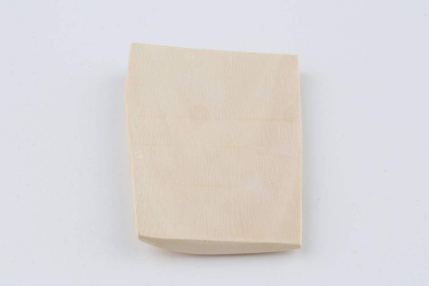 White mammoth ivory segment