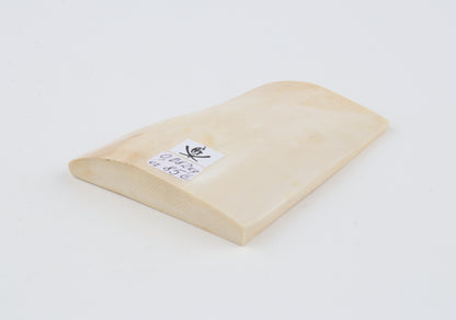 White mammoth ivory segment