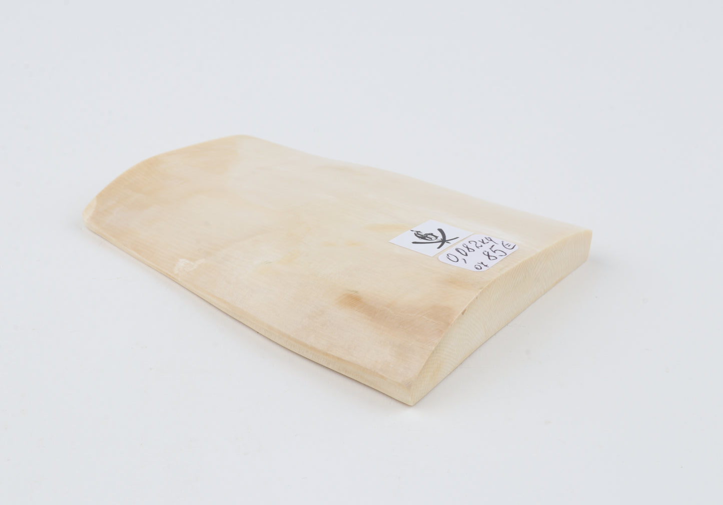 White mammoth ivory segment