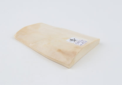 White mammoth ivory segment