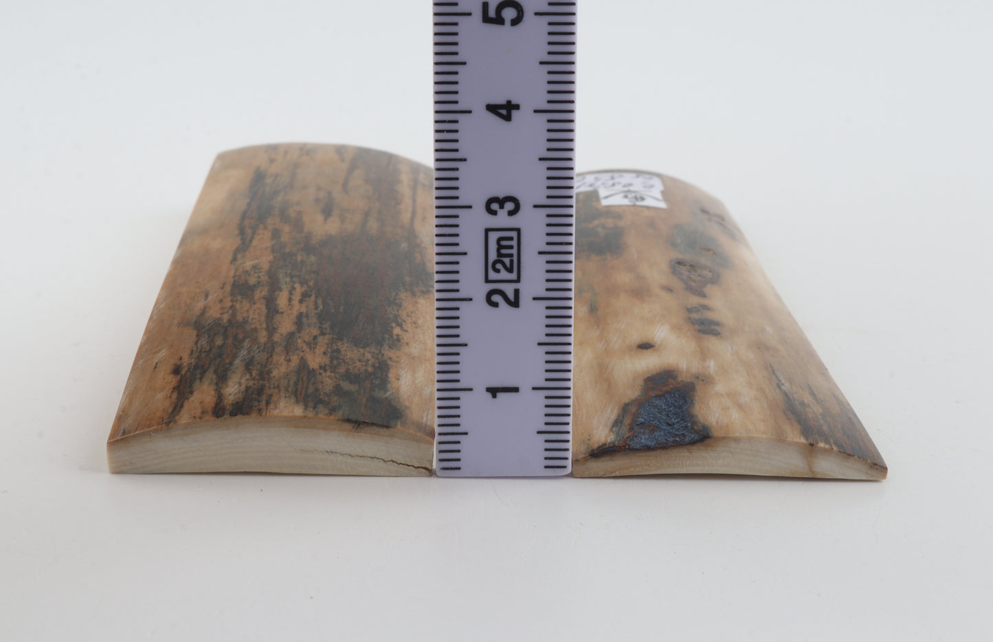 Natural mammoth bark scales