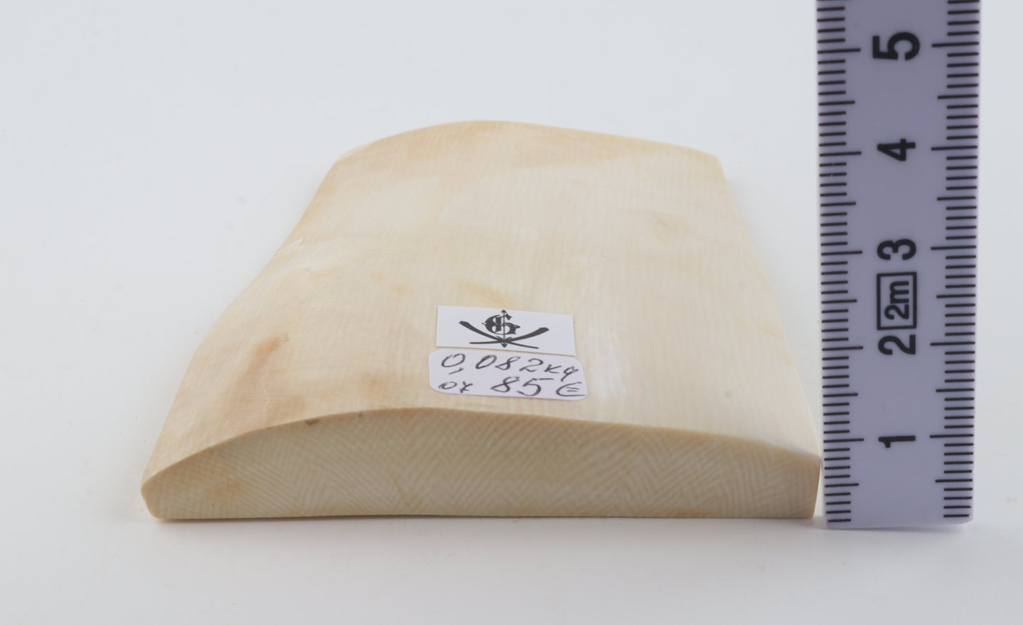 White mammoth ivory segment