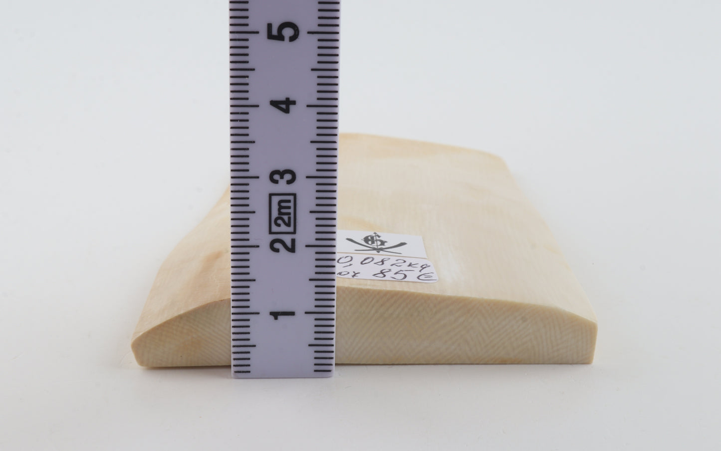White mammoth ivory segment