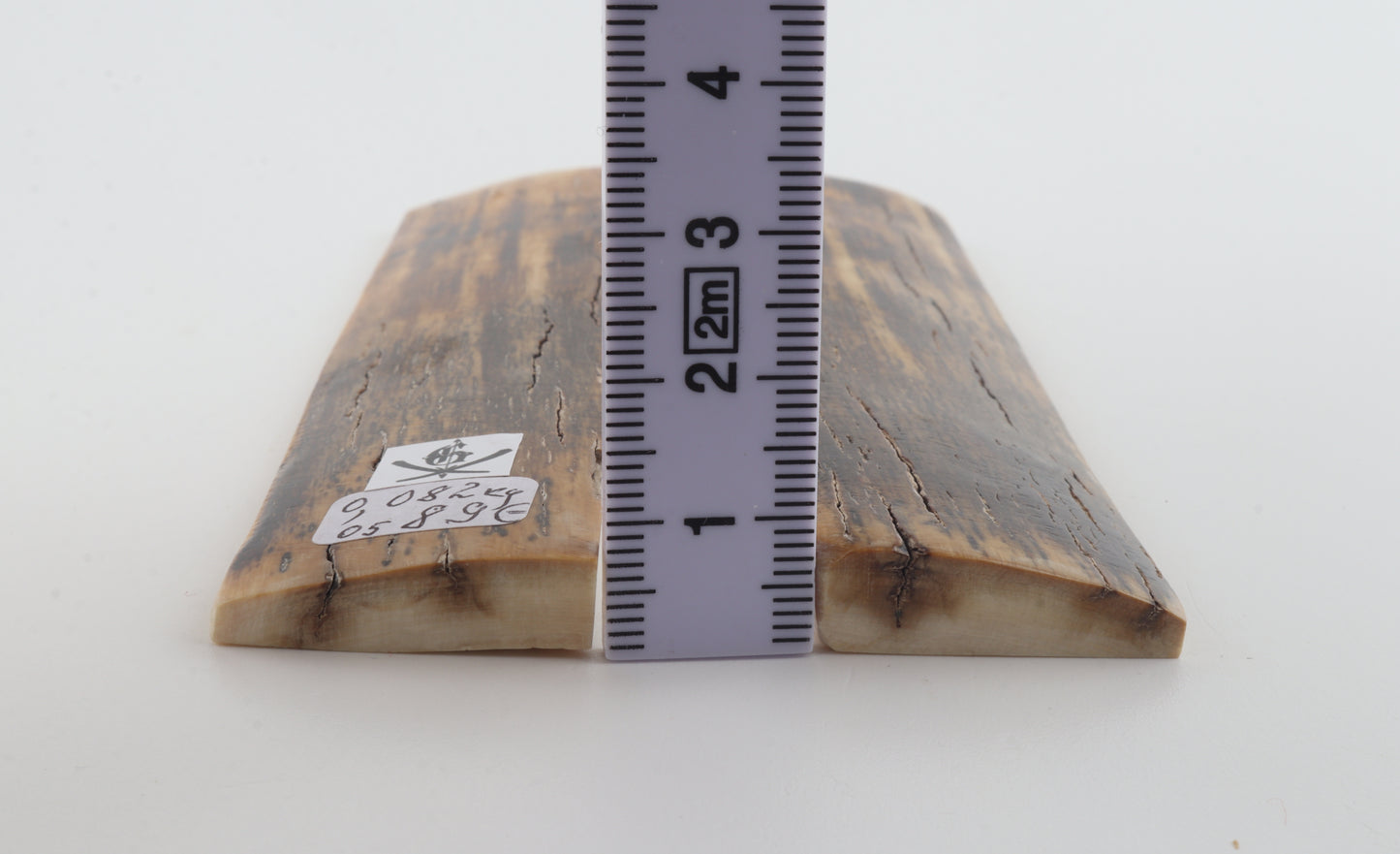 Natural mammoth bark scales