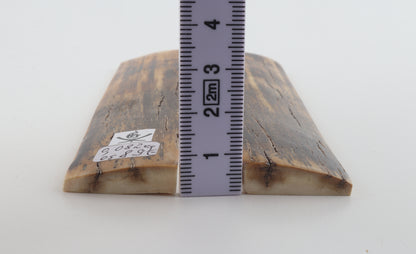 Natural mammoth bark scales