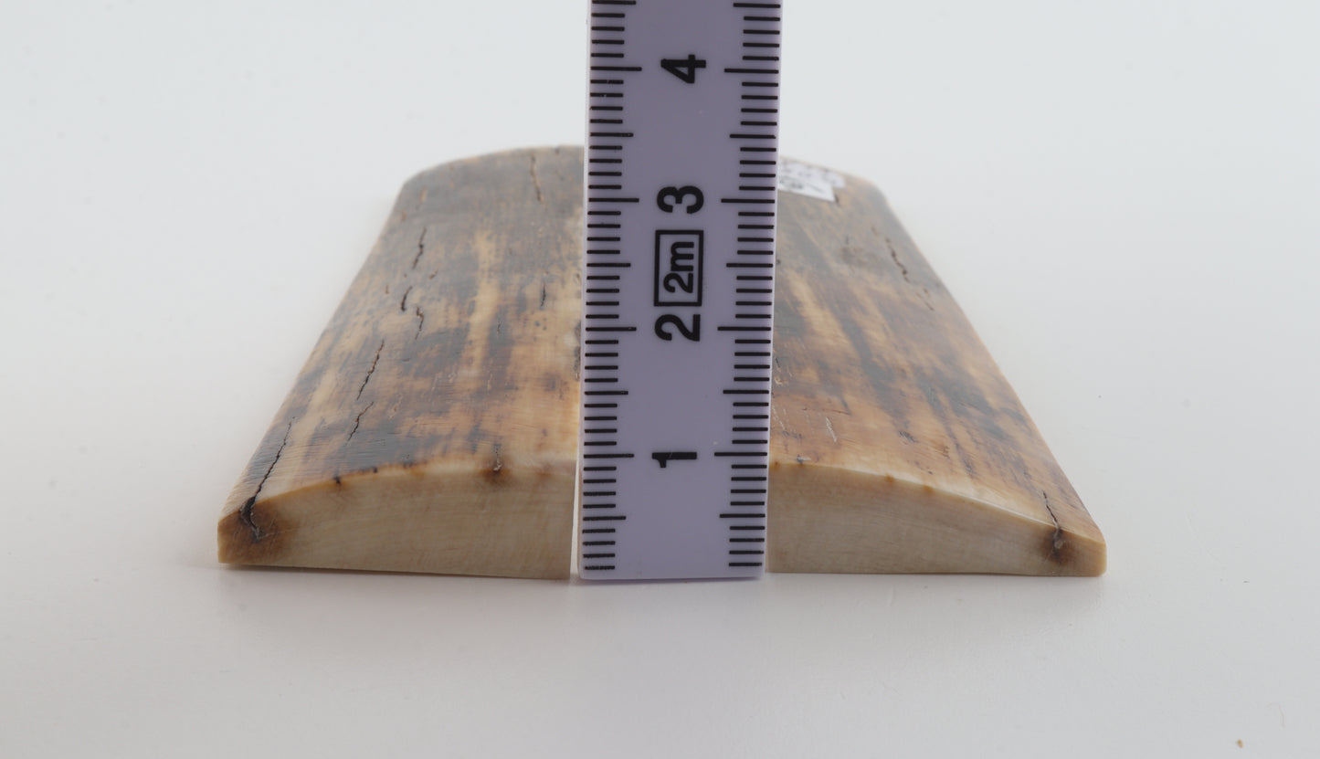 Natural mammoth bark scales