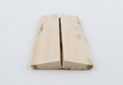 Natural mammoth bark scales