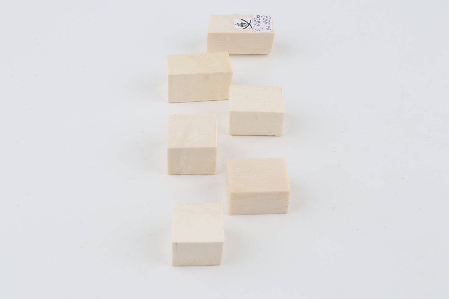 White mammoth ivory pieces
