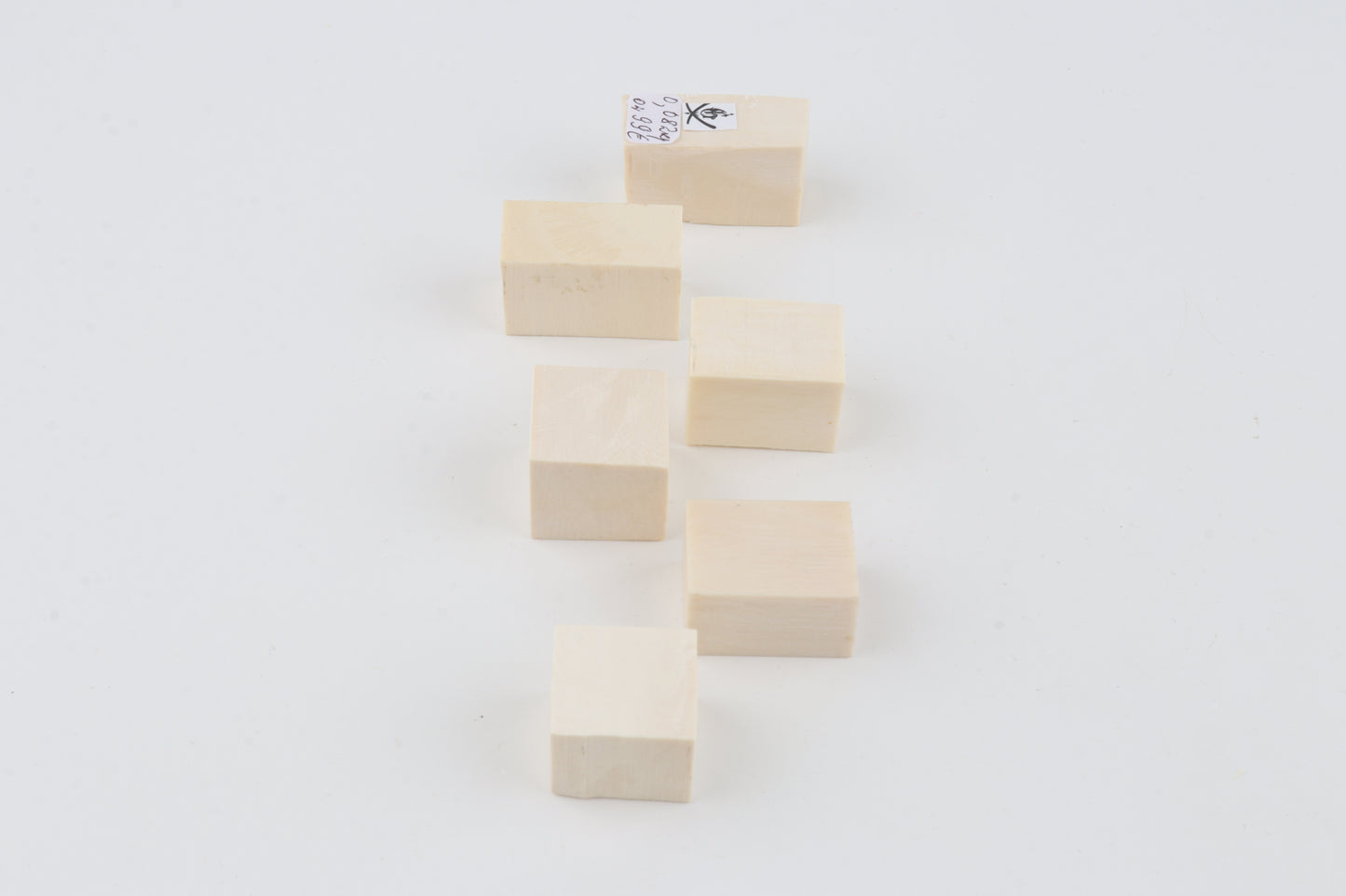 White mammoth ivory pieces