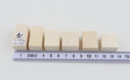 White mammoth ivory pieces