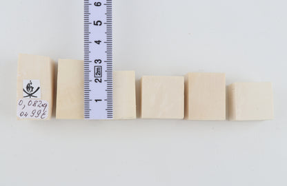 White mammoth ivory pieces