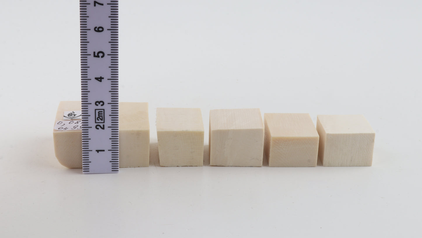 White mammoth ivory pieces