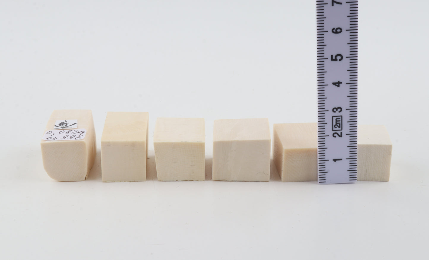 White mammoth ivory pieces