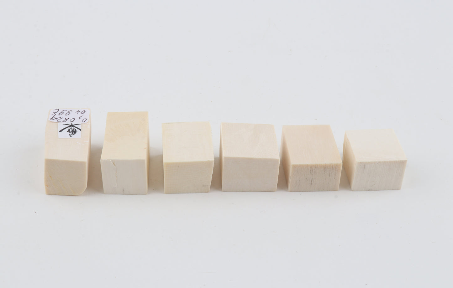 White mammoth ivory pieces