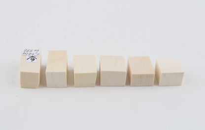 White mammoth ivory pieces
