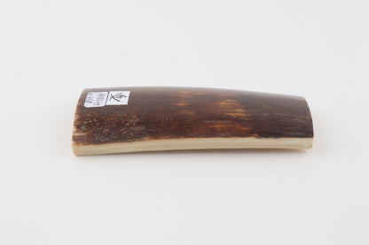 Brown mammoth bark