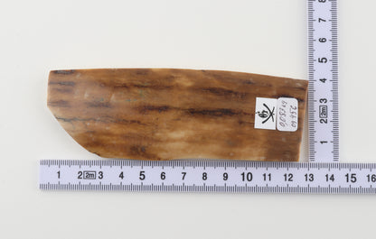 Brown-caramel mammoth bark