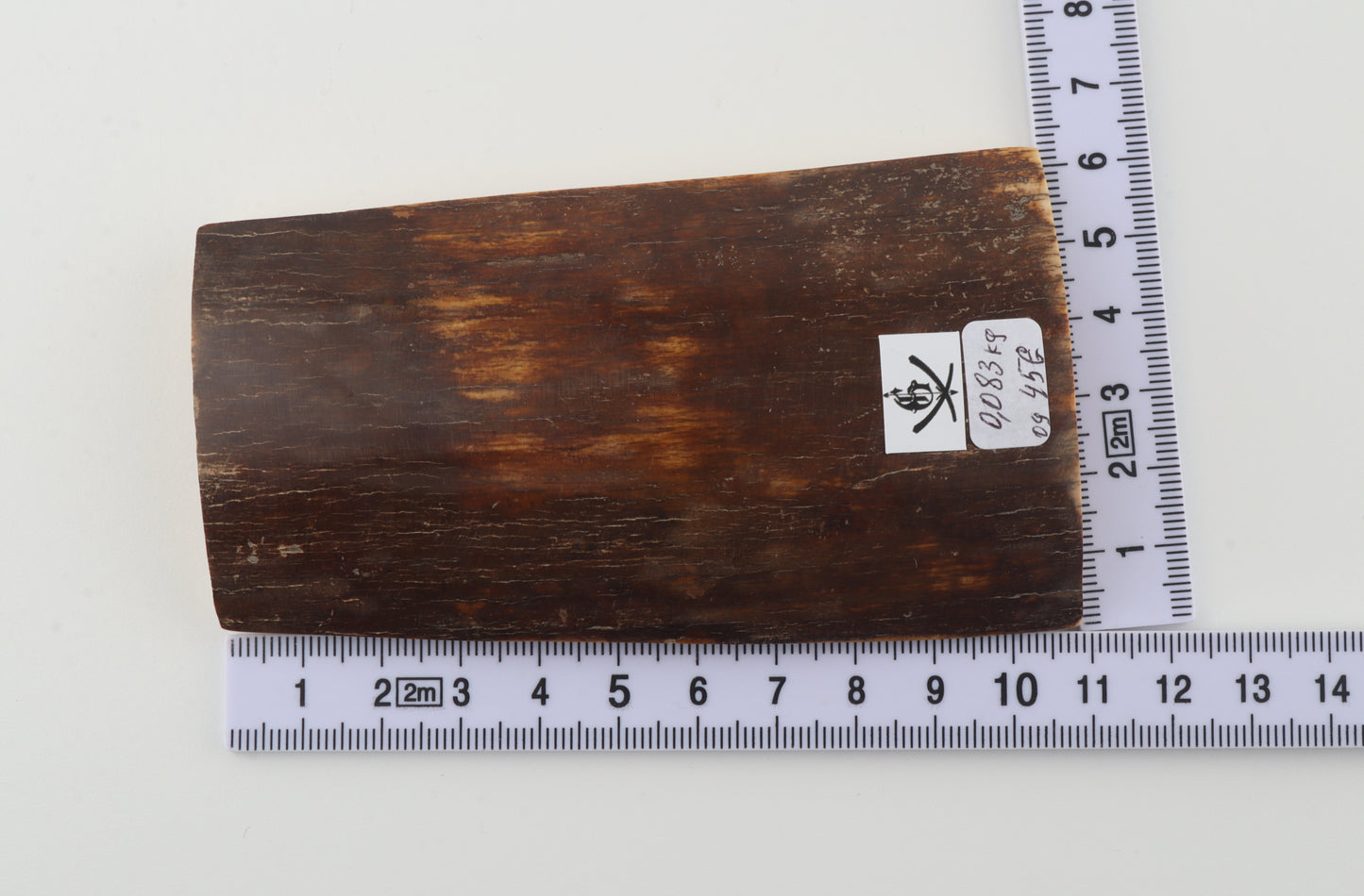 Brown mammoth bark