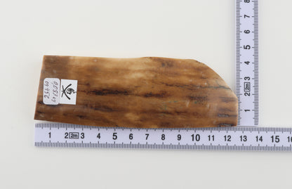 Brown-caramel mammoth bark
